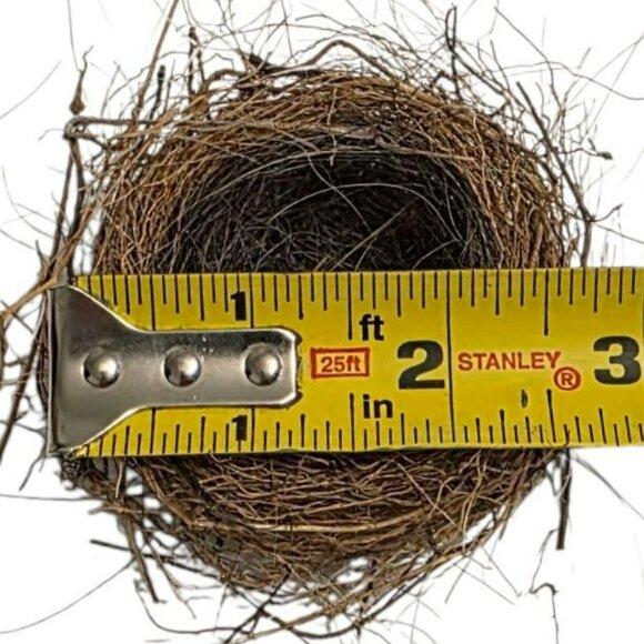 2 Genuine Bird Nest Natural Twigs Fur Lined Small Rustic Abandoned Sparrow Wren - Picture 5 of 10